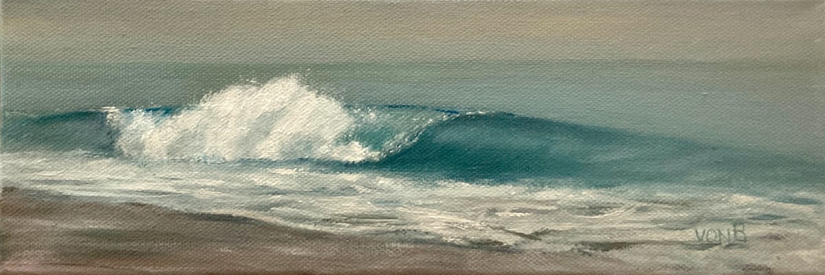 Free Zuma Shorebreak 1 by John von Buelow 