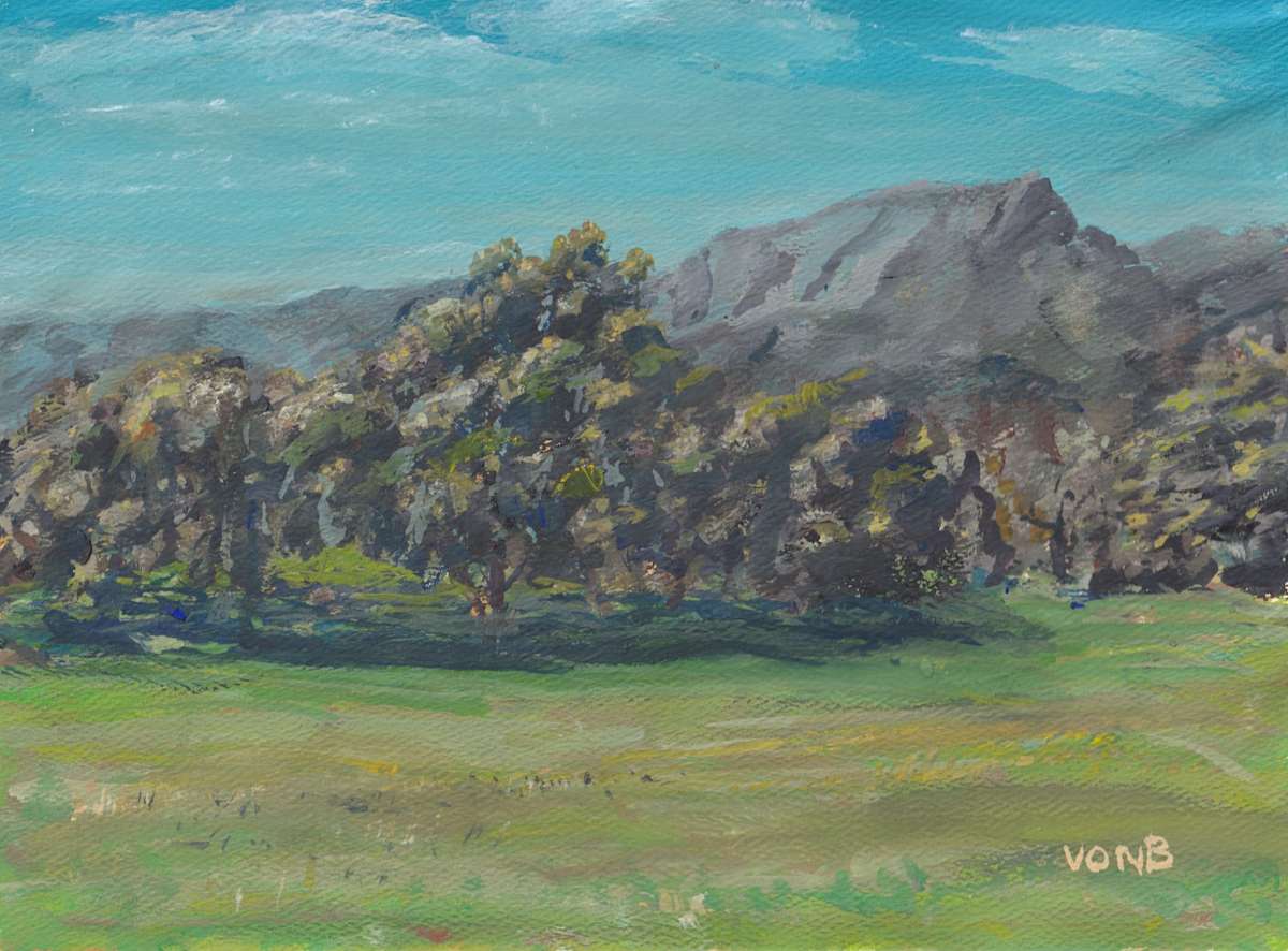 SaMo Landscape by John von Buelow, Image 1.
