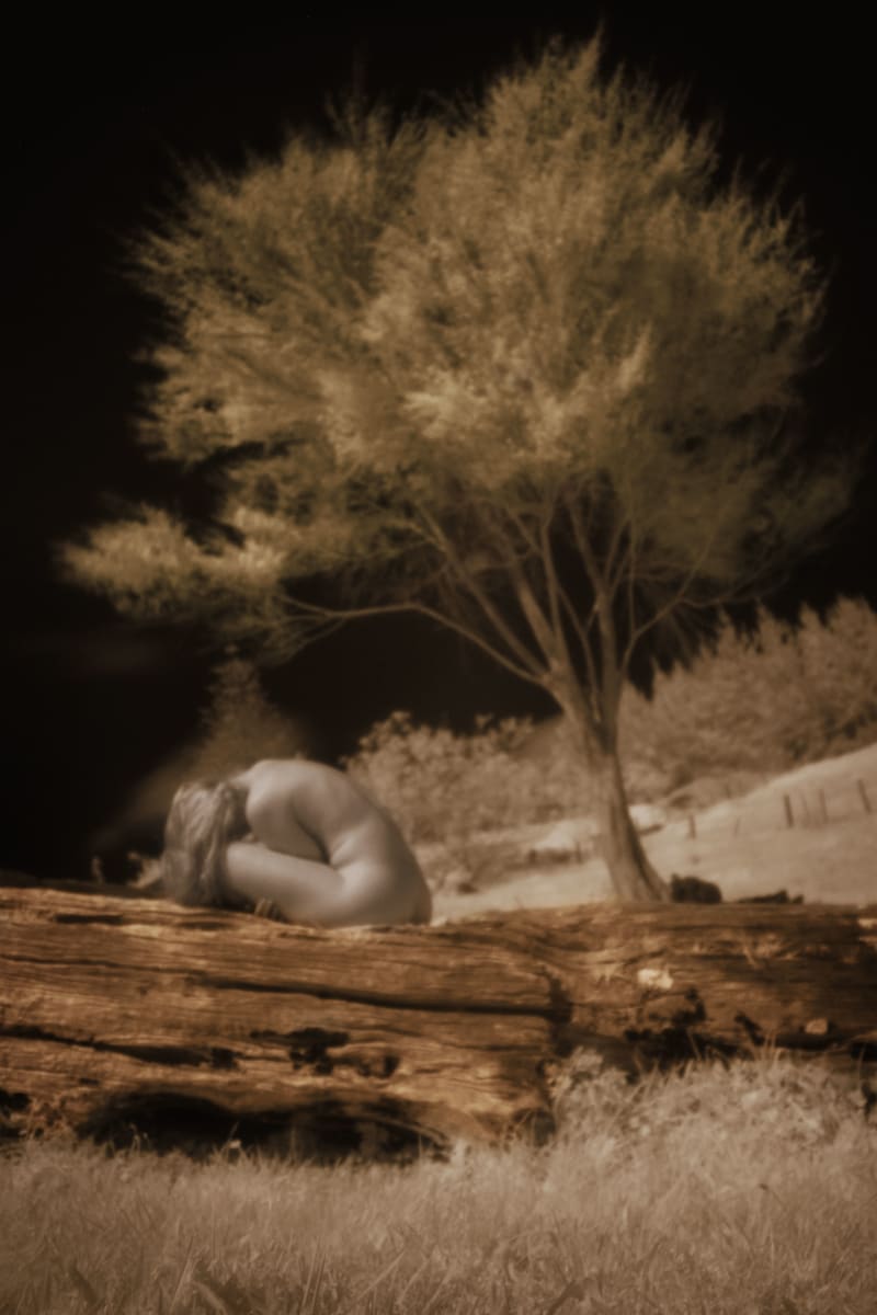 Dreamweaver_3, edition image.
