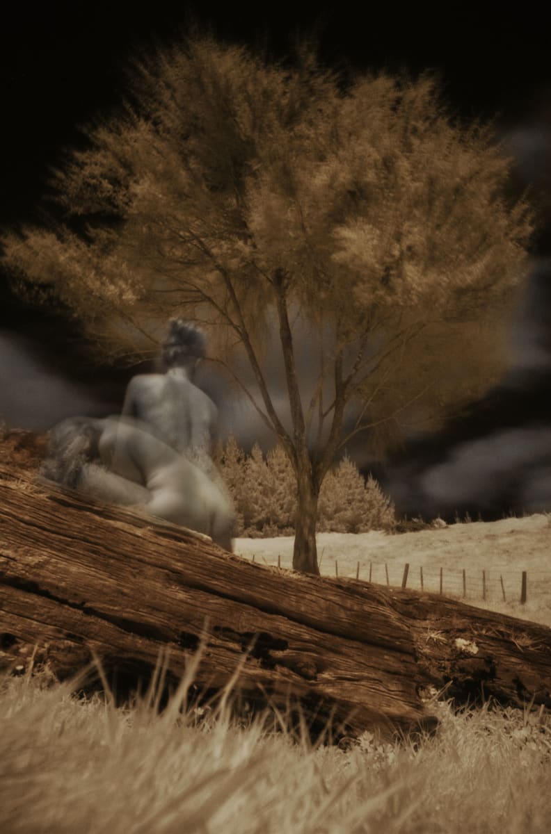 Dreamweaver_4 Proof 1 