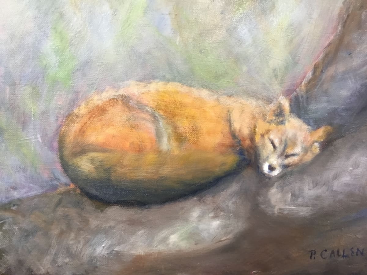 Nap Time by pamela callen, Image 1.