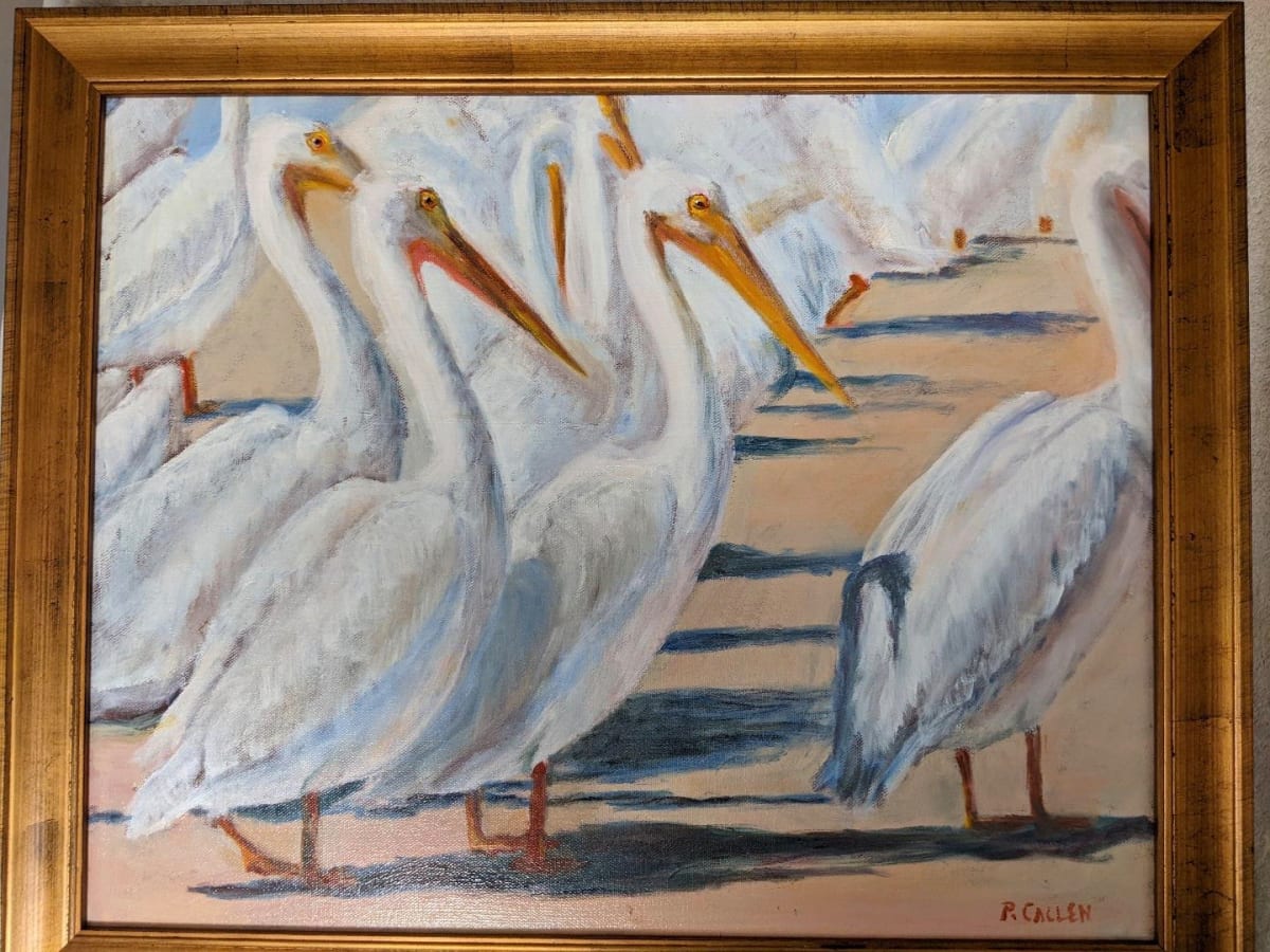 Pelican Pod by pamela callen 