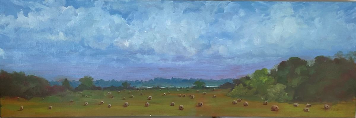 Sotterley Fields by pamela callen, Image 1.
