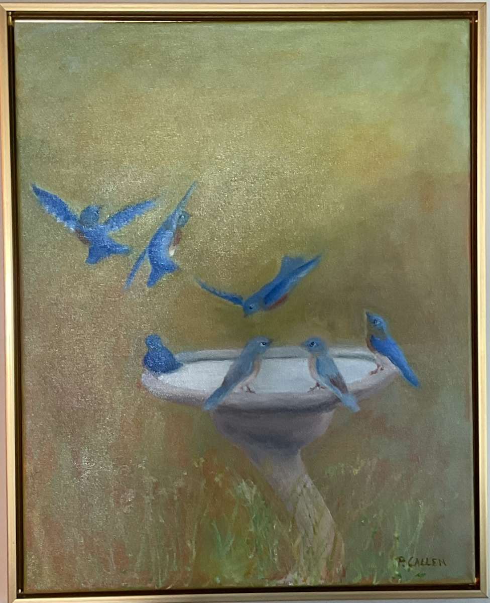 Bluebird Frenzy by pamela callen, Image 1.