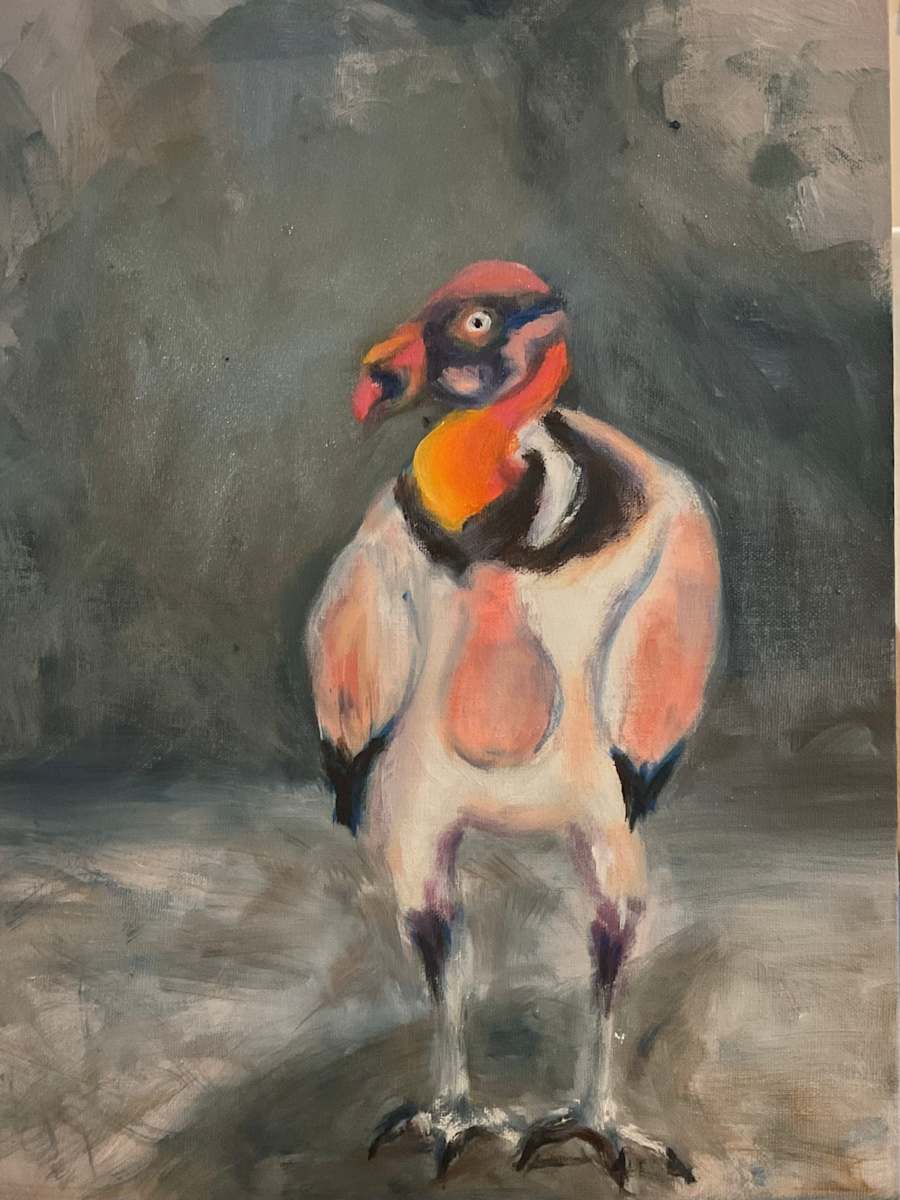 King Vulture by pamela callen, Image 1.