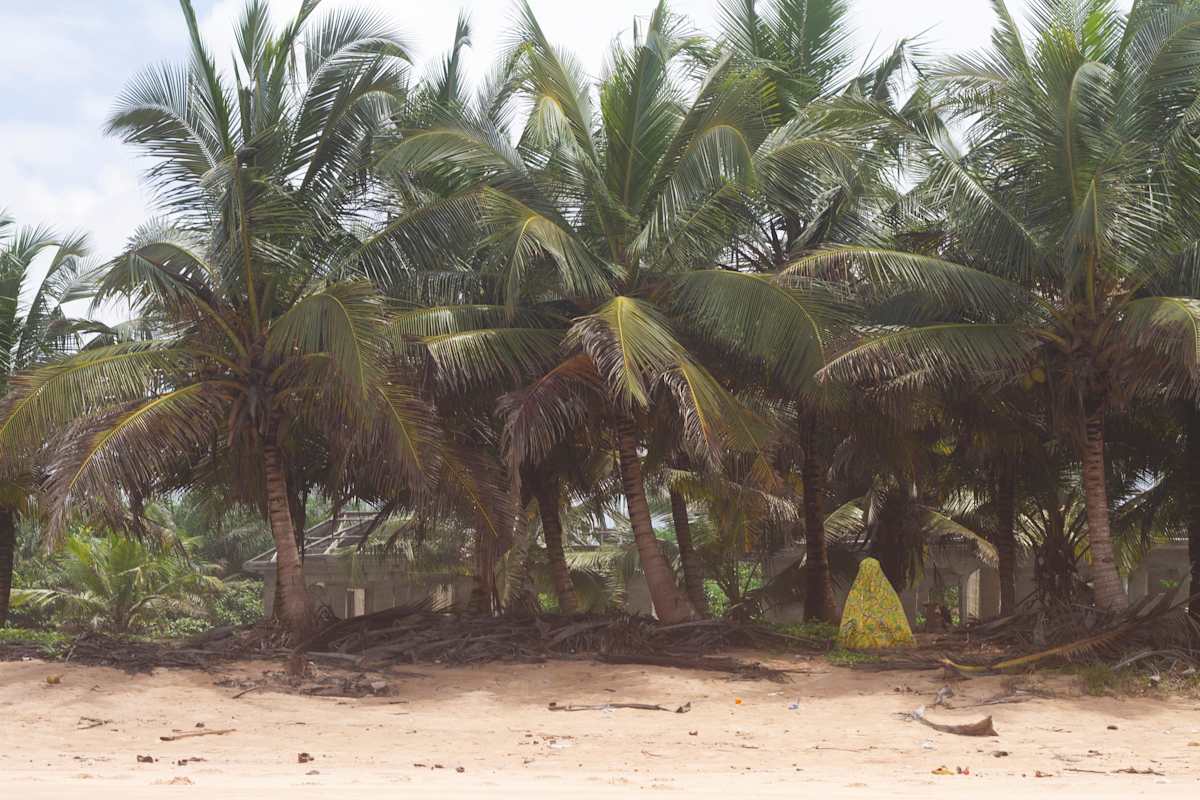 1, Image 1.