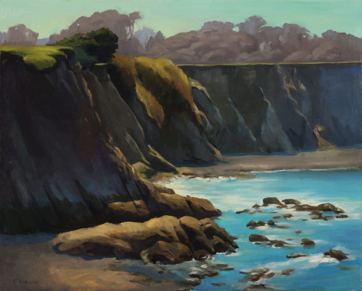 California Coast, Point Arena by Erica Norelius 