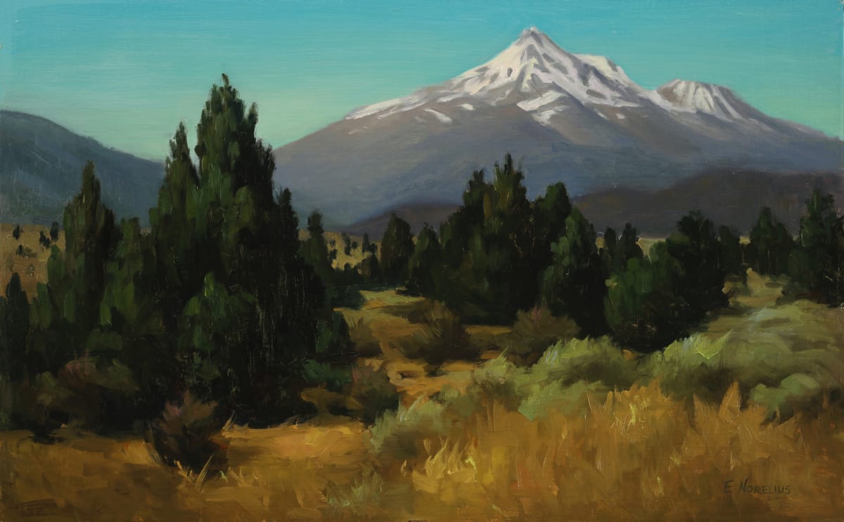 Mount Shasta by Erica Norelius 