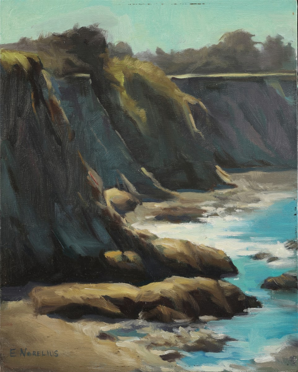 California Coast - Point Arena by Erica Norelius 