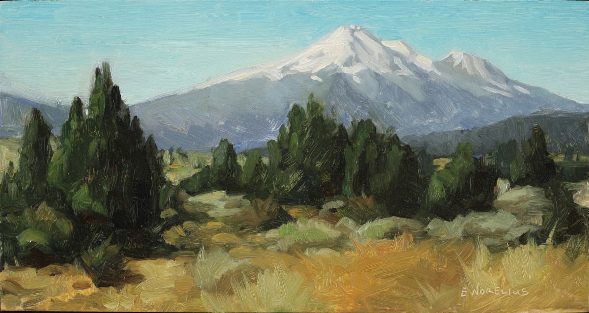 Mount Shasta by Erica Norelius 