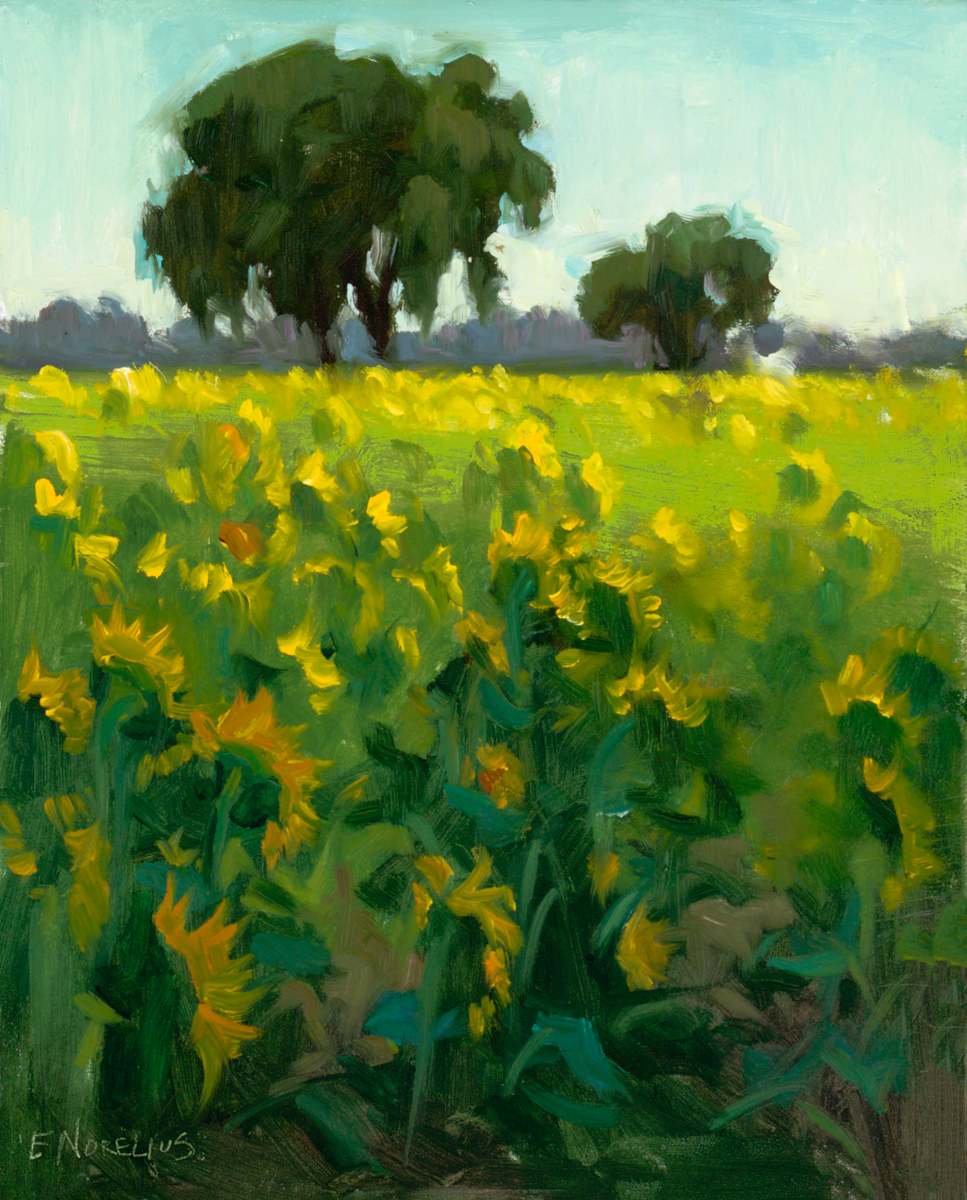 Field of Sunflowers, Plein Air by Erica Norelius 