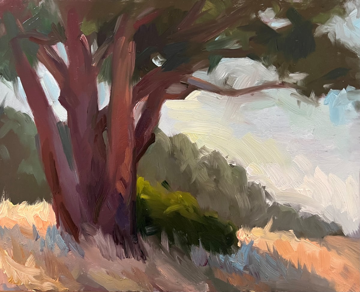 Red Tree California, Plein Air by Erica Norelius 