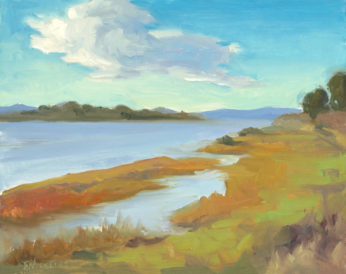 Point Isabel Shoreline by Erica Norelius 