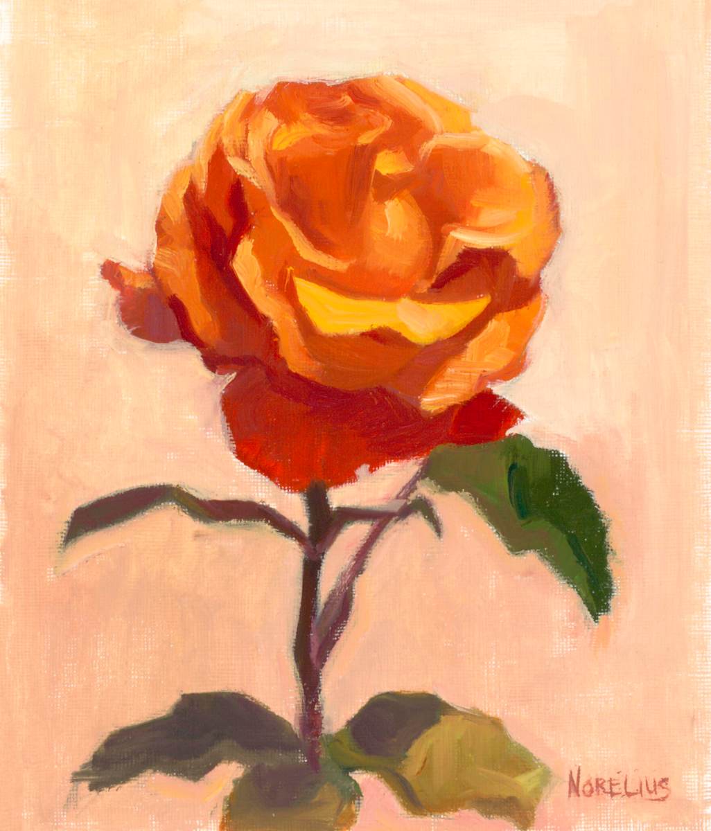 Apricot Bloom by Erica Norelius 