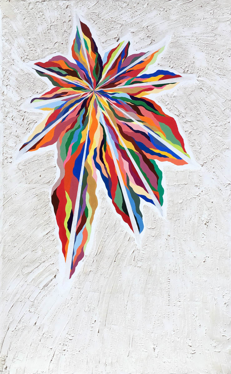 Suntrace by Lee Clarke 