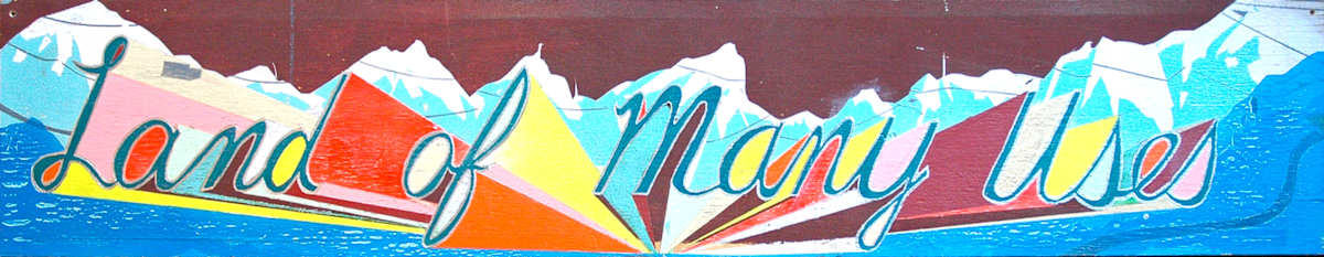 Land of Many Uses by Jules de Balincourt 