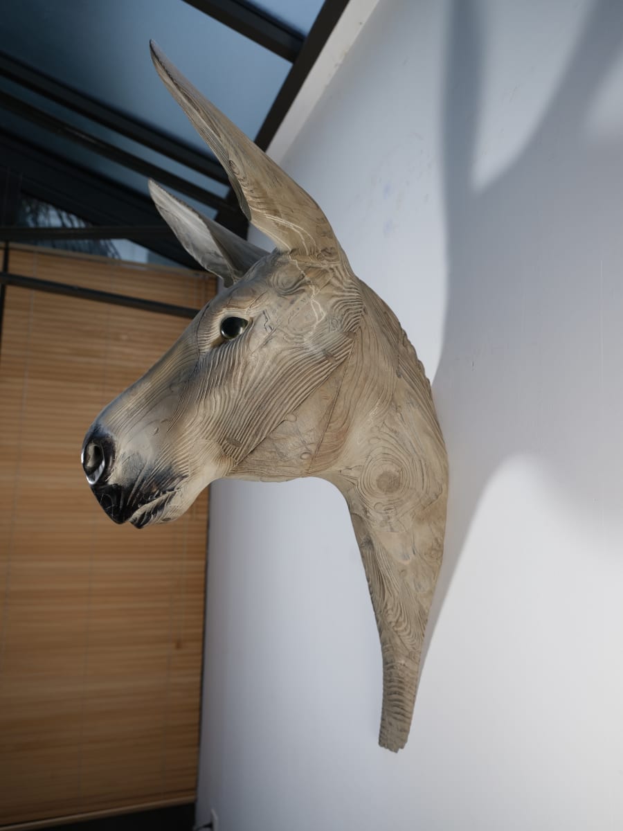Donkey by Quentin Garel 