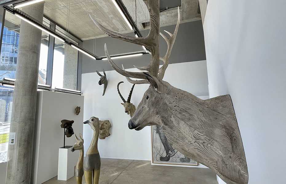 Exhibition Image