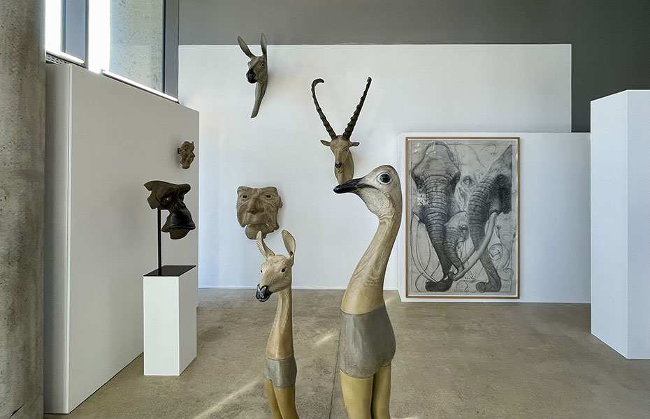 Exhibition Image