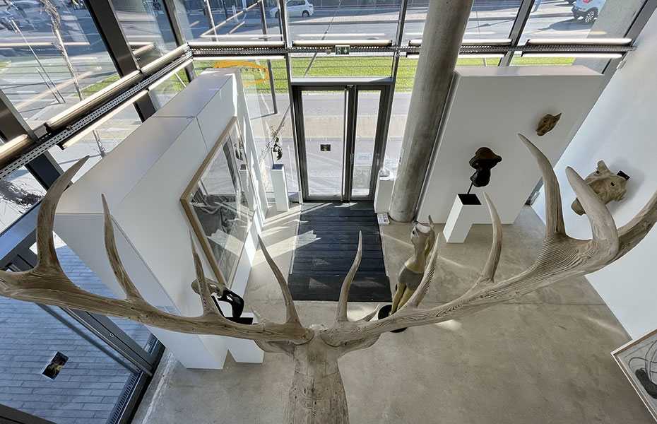 Exhibition Image