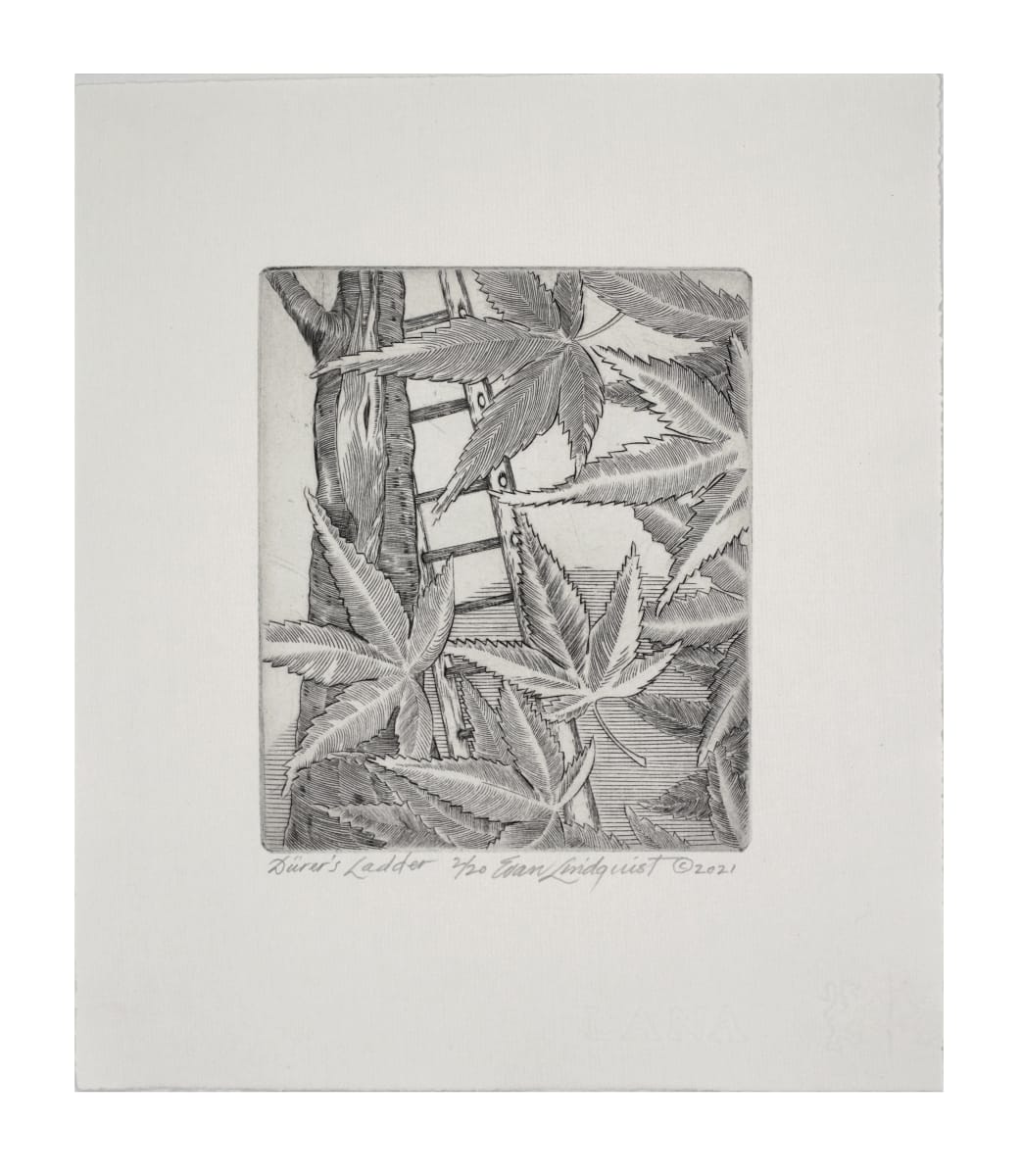 Dürer’s Ladder, 2/20  Image: © Evan Lindquist / Artists Rights Society (ARS), New York