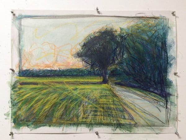 Shade Tree - Looking to the Floodway Levee at Dusk, Poinsett County, Arkansas 