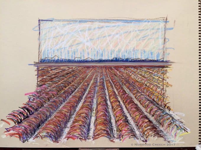 Snow in the Middles, Poinsett County, Arkansas by Norwood Creech 