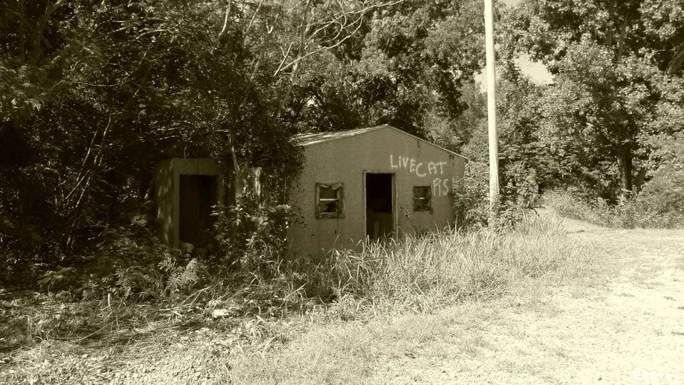 Catfish Shack, Cache River Bottoms, Arkansas Hwy 14, West of Amagon, Jackson County, Arkansas 