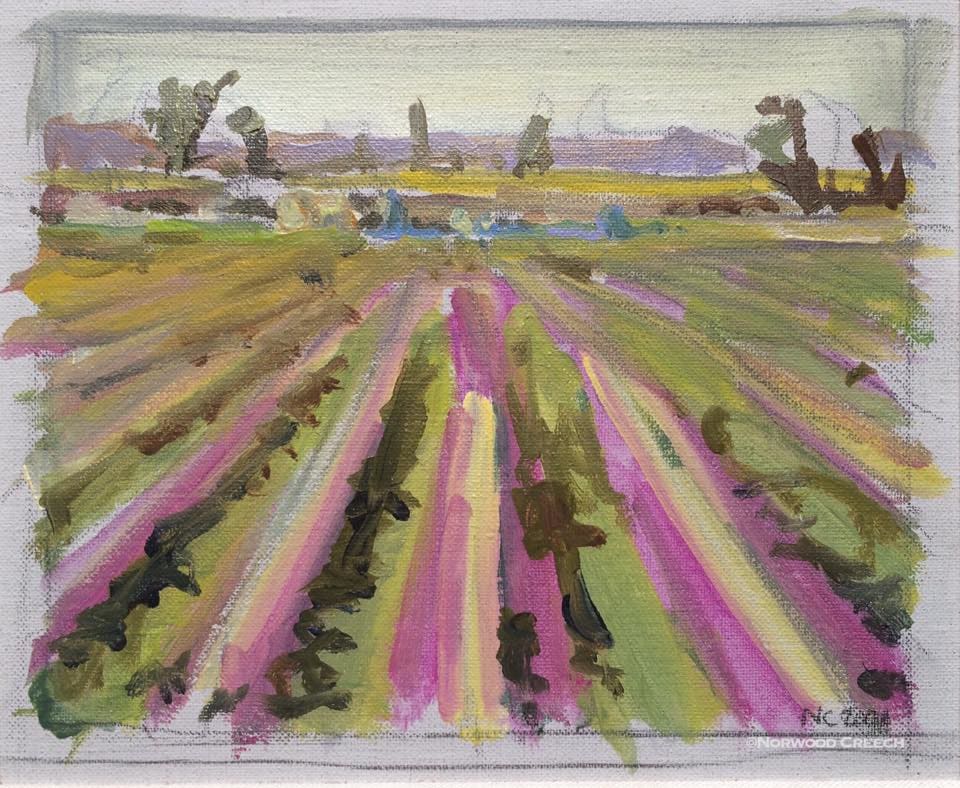 Spring Field / Henbit, Image 1.