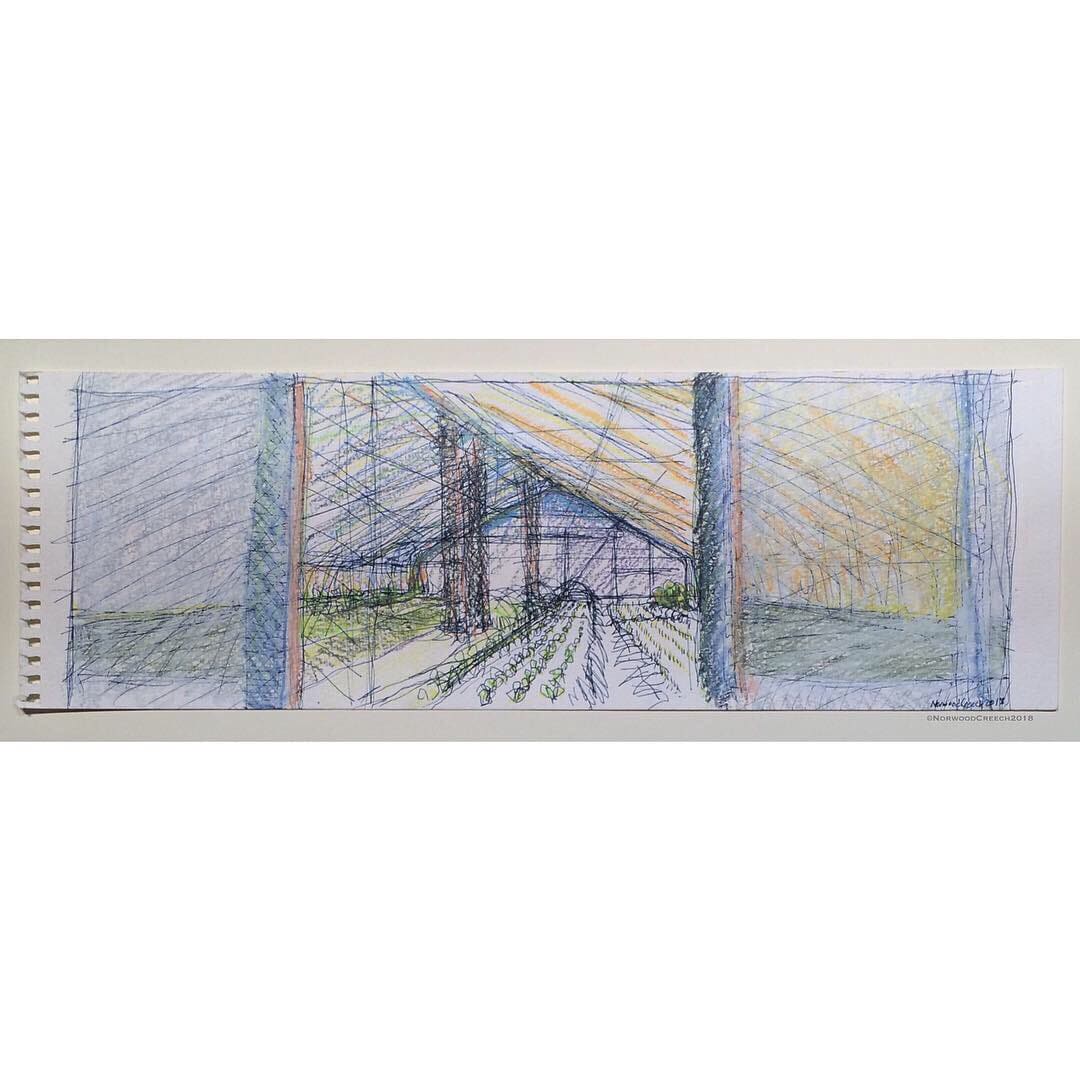 High Tunnel Sketch, Whitton Farms, Mississippi County, Arkansas 