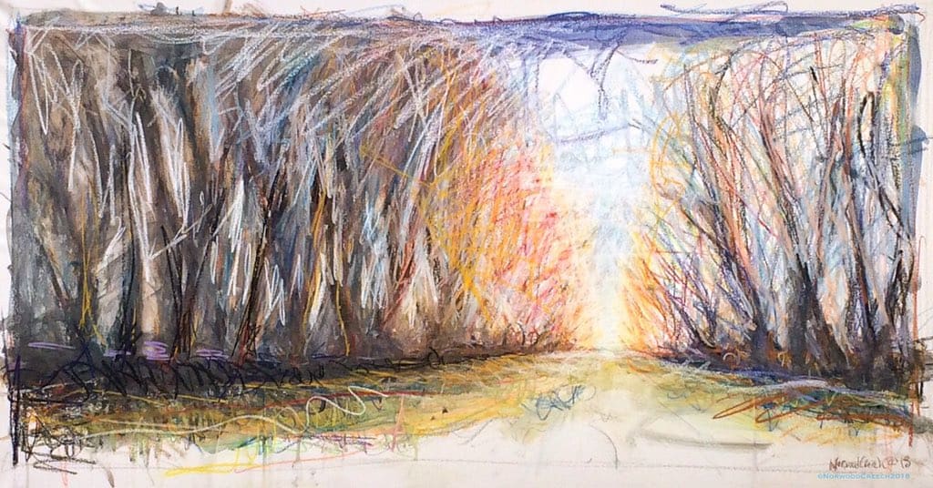 Willow Road, St. Francis-Little River Floodway / The Sunken Lands, Poinsett County, Arkansas by Norwood Creech 