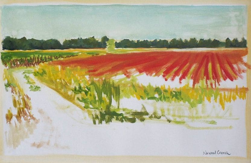 Milo on Location, St Francis-Little River Floodway/Sunken Lands, Rivervale, Poinsett County, Arkansas 