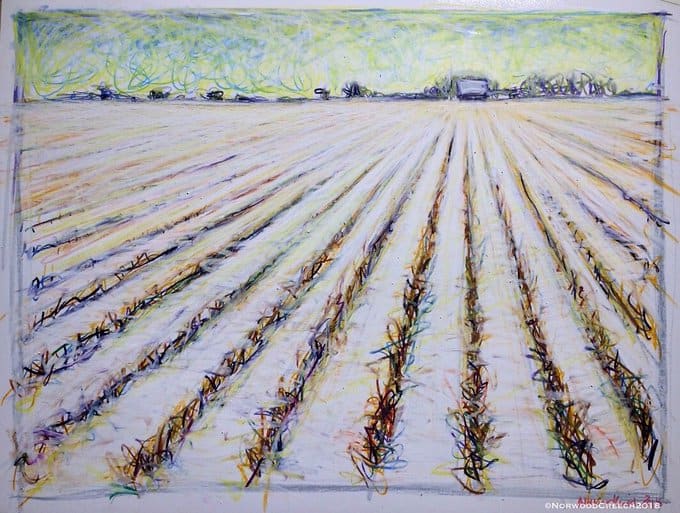 Stubble in the Snow (Winter Field), Poinsett County, Arkansas by Norwood Creech 