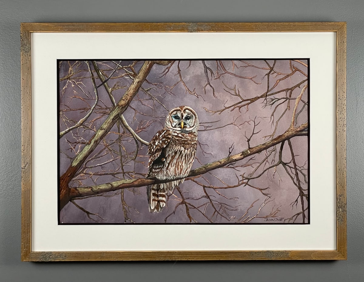 Hootie by Jason Scott - ART 