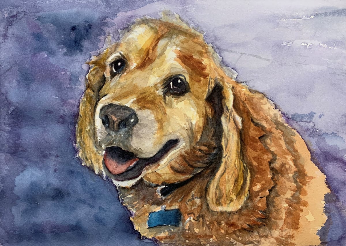 "Bailey", Image 1.