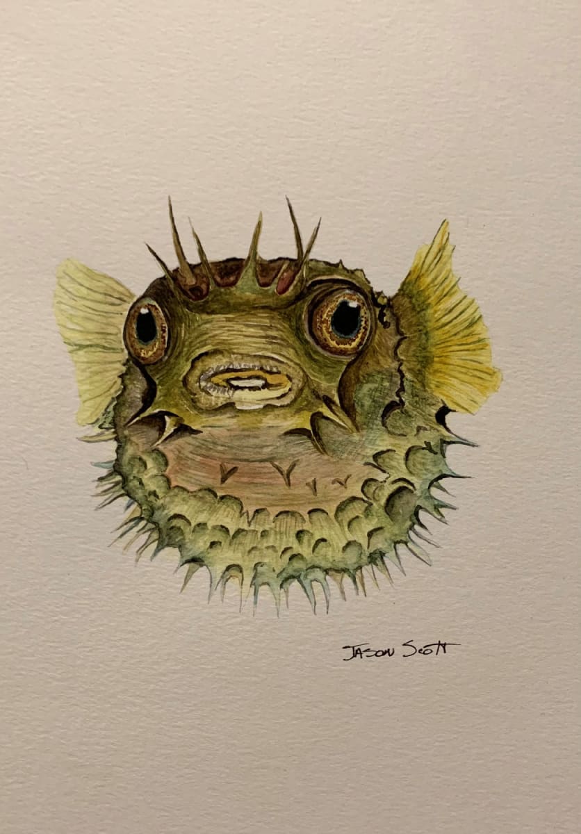 Blowfish 