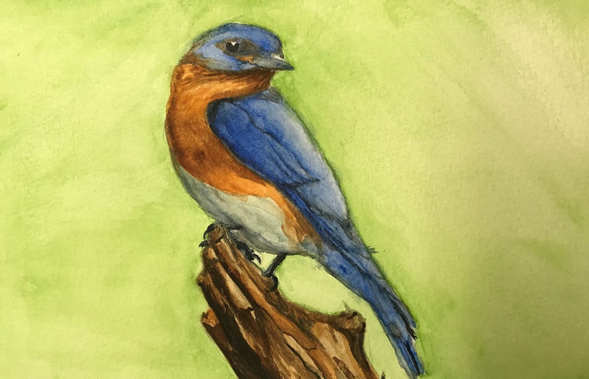 Grandma's Bluebird 