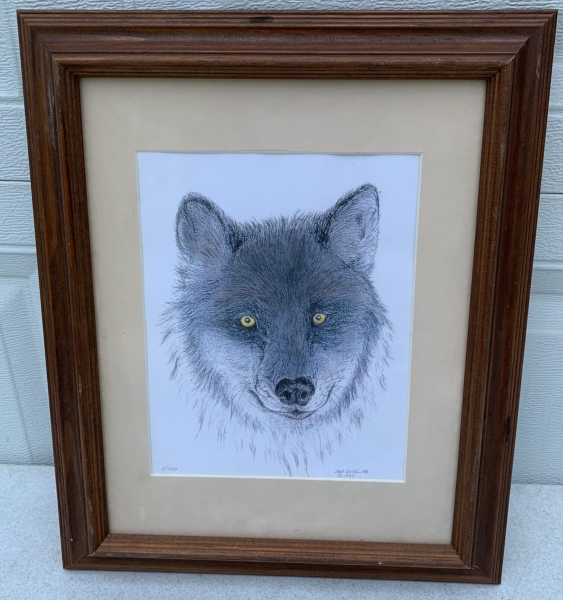 Wolf's Stare by Bob Golbooth, Image 1.
