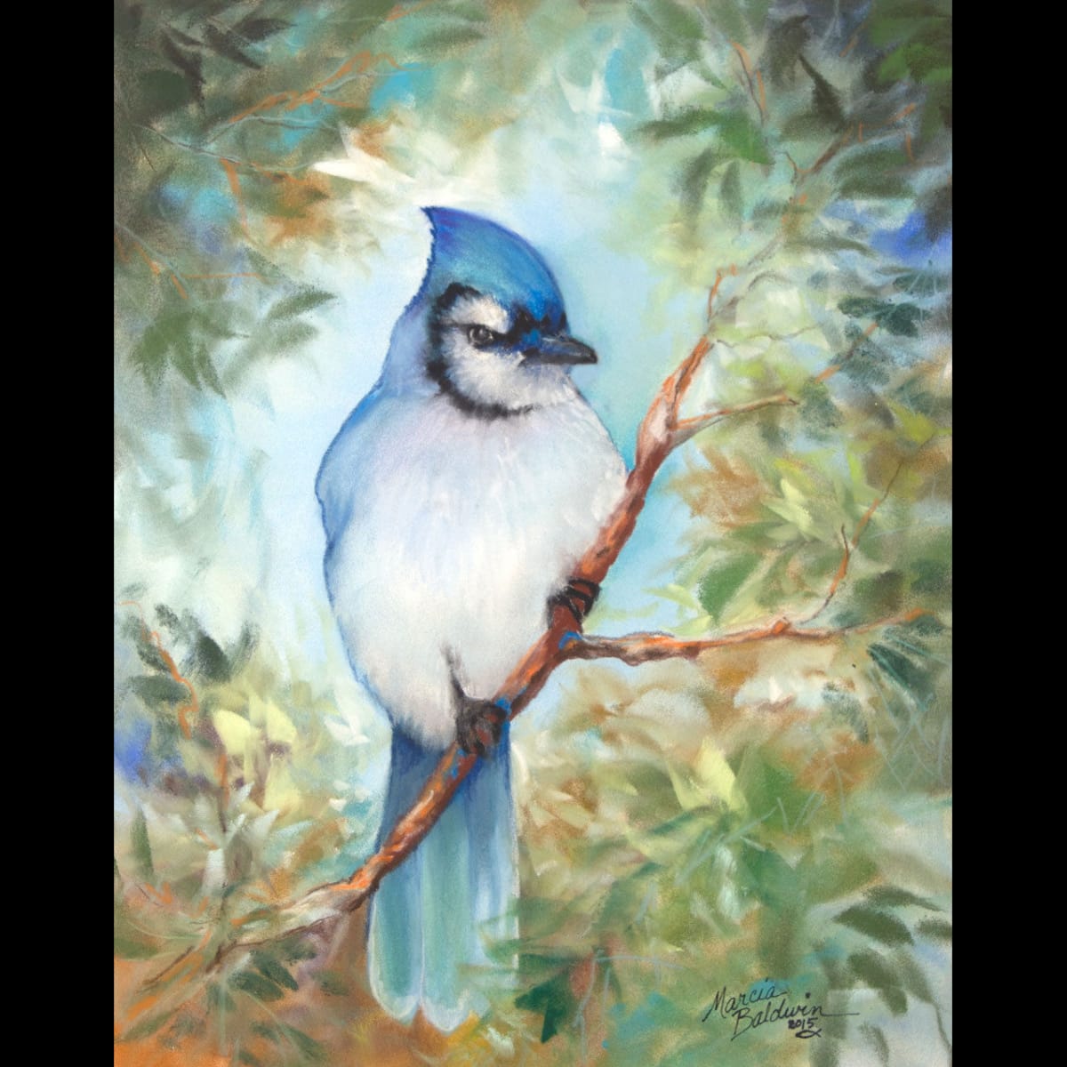 Blue Jay by Marcia Baldwin 