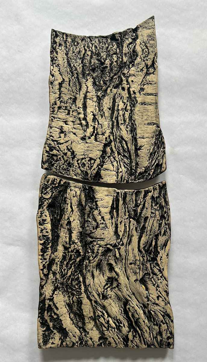 Cherry Stump, Wooster Trees by Susan Stair, Image 1.