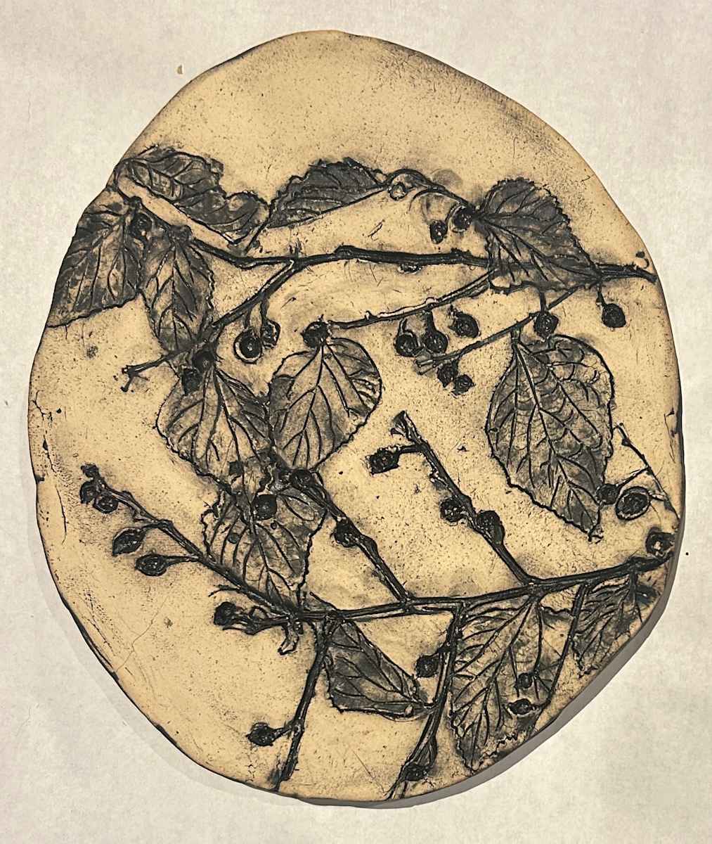 Hackberry , Trees as Tonic by Susan Stair, Image 2.