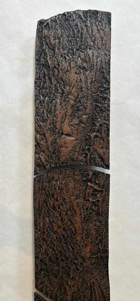 Red Oak Tree by Susan Stair, Image 1.