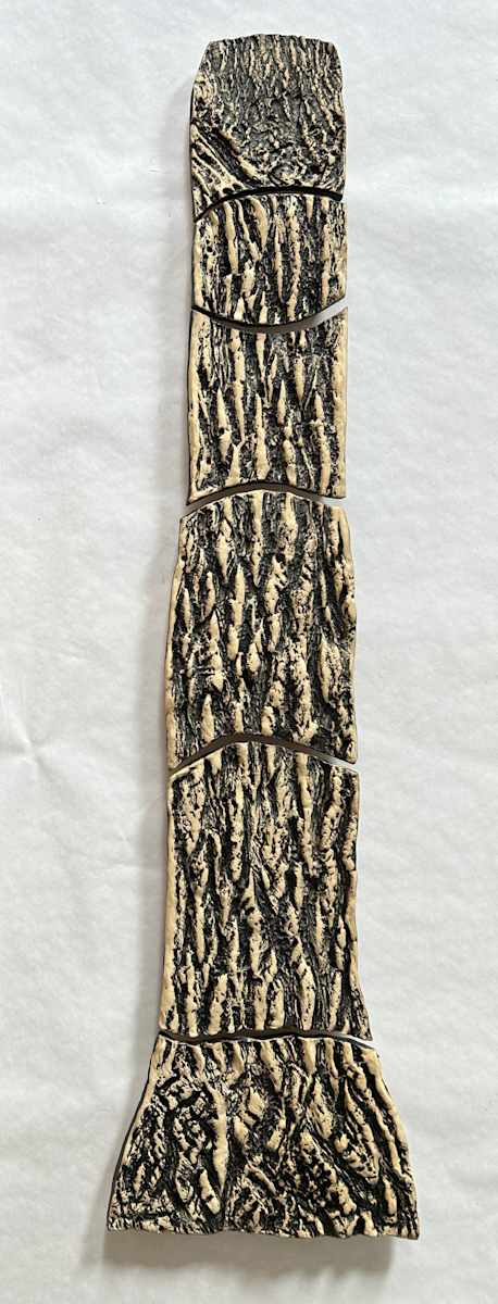 Black Walnut Tree, Trees by Susan Stair, Image 1.
