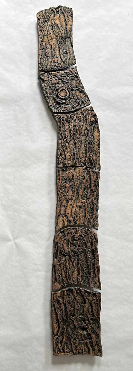 Eastern White Pine, Trees by Susan Stair, Image 1.