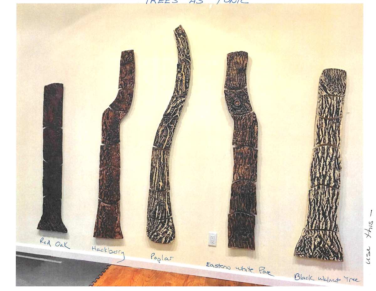 Trees as Tonic, Trees by Susan Stair, Image 7.