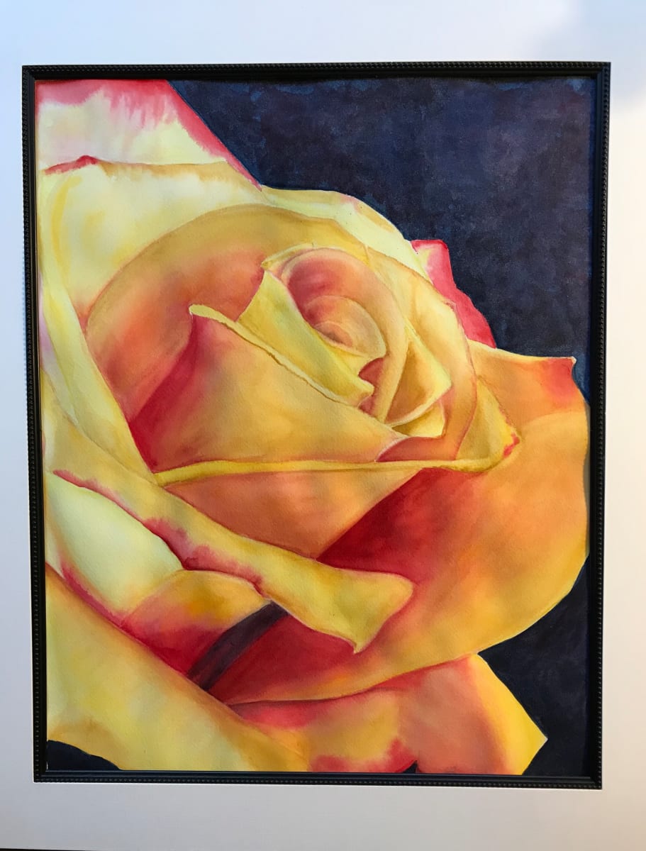 Yellow Rose 