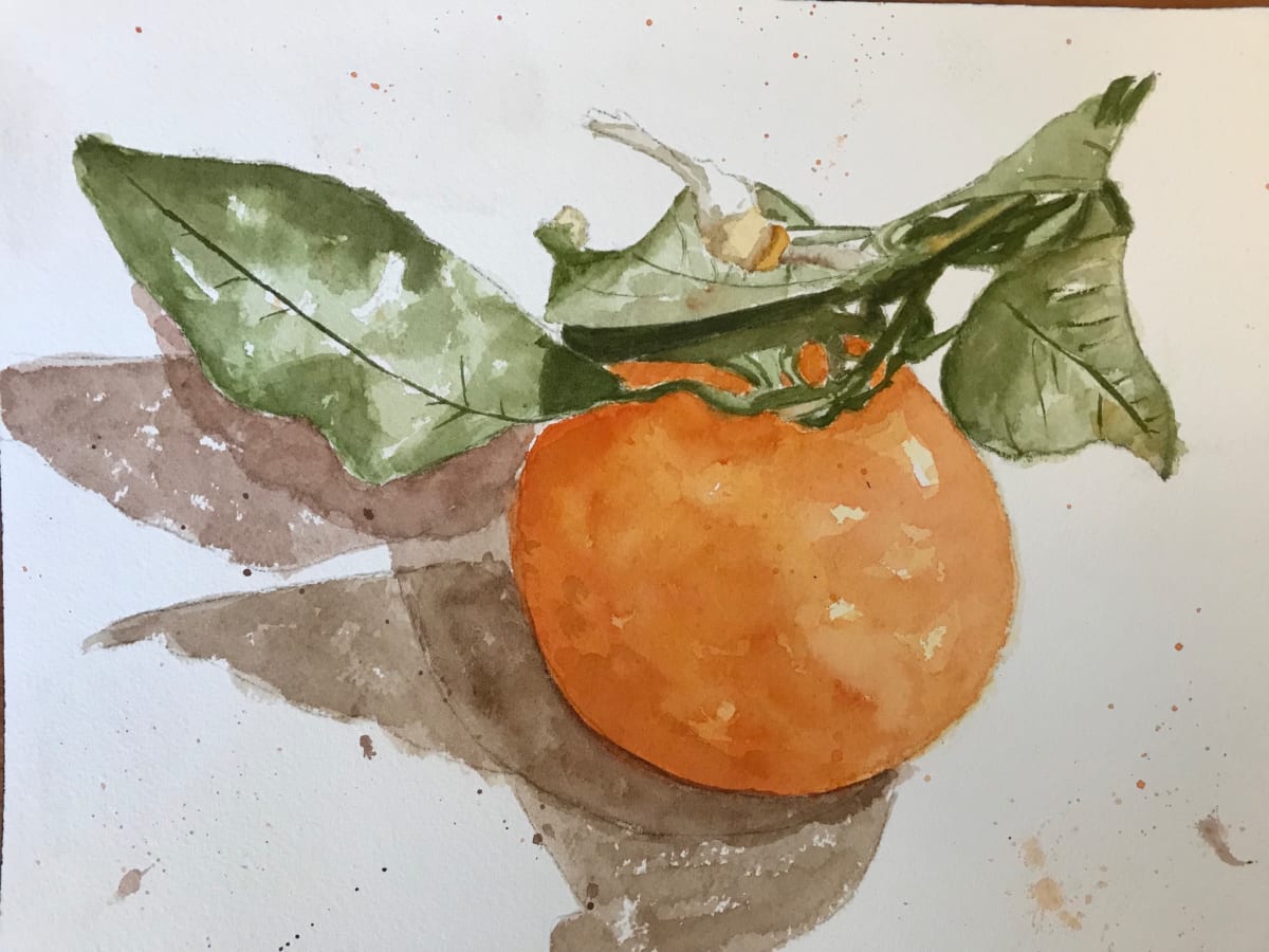 Orange by Anita Matcha 