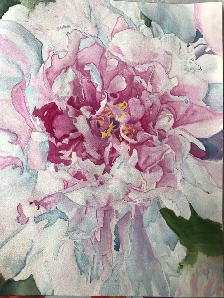 Peony 