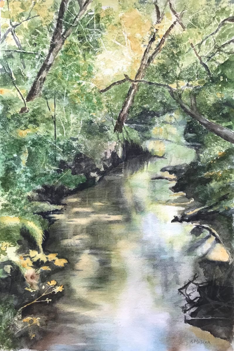 Crooked Little Creek 