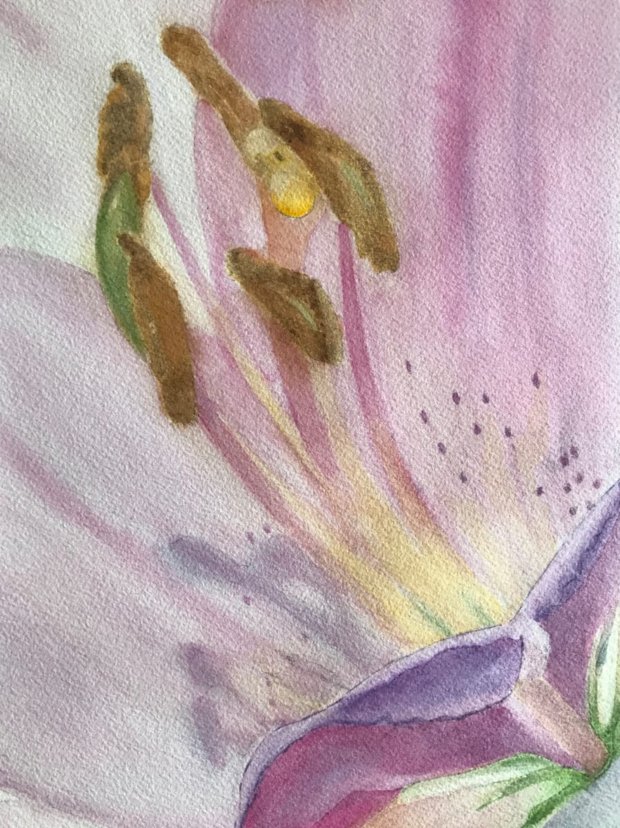 Lily Stamens 